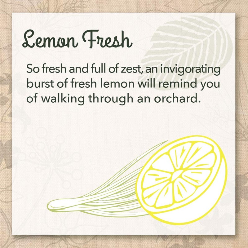 eco me EcoMe Stainless Steel Polish, Multi-Surface Cleaner, Lemon Fresh, 16 oz - Image 3